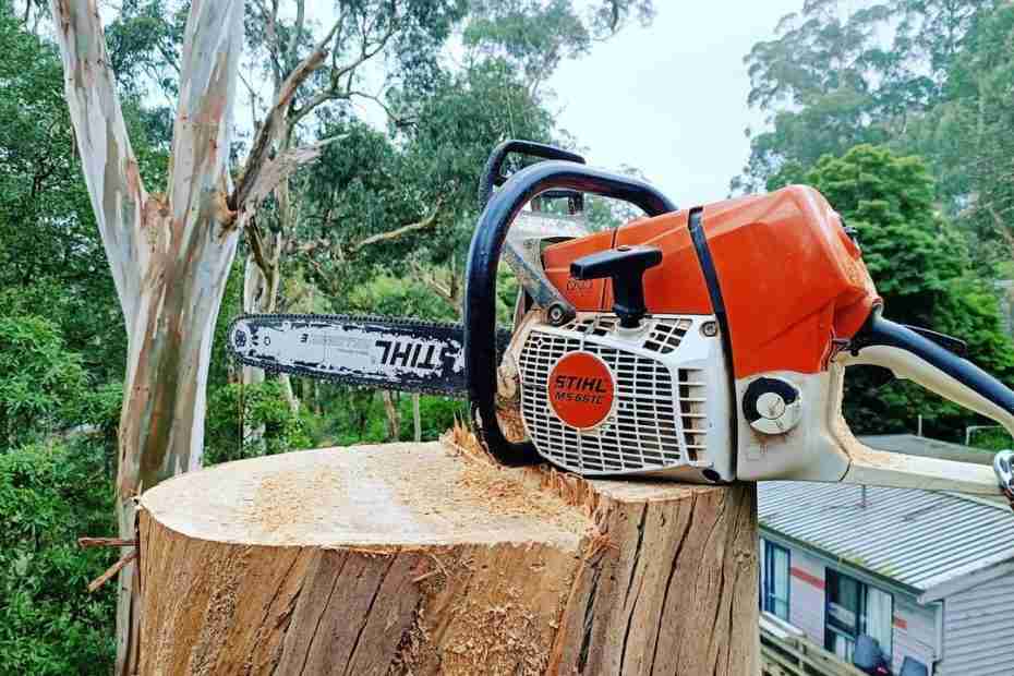 Why Tree Pruning is Essential